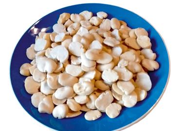 TRACHET BRUZZ ACTUA 1601