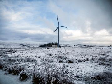 WINDMOLEN 2 BRUZZ ACTUA 1601 XANT