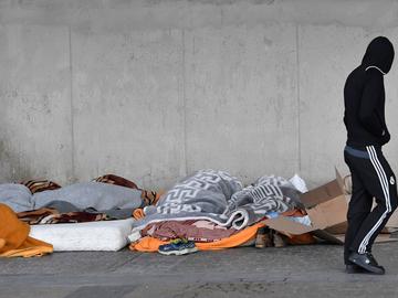 20180228 zoom Dakloze BRUZZ ACTUA 1605