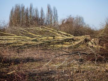 Haren Keelbeeksite gevangenis
