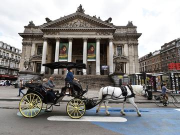 Voetgangerszone Beursplein paardenkoets toeristen toerisme sightseeing pietonnier 2