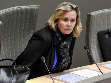 Liesbeth Homans Vlaams minister Stedenbeleid (N-VA)