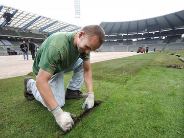 Vervanging grasmat Koning Boudewijnstadion in september 2010 voetbal Rode Duivels Nationaal stadion 3