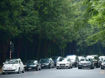 Autoverkeer in Terkamerenbos