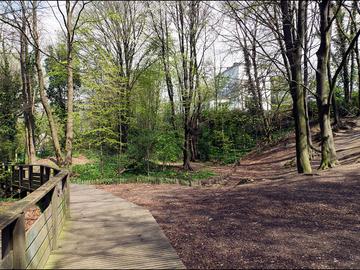 Wilderbos, Sint-Agatha-Berchem