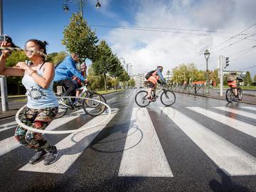 ZEBRAPAD SPW