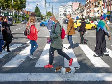 ZEBRAPAD Schaarbeek
