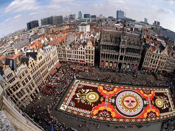 Brussel-Stad Grote markt broodhuis bloementapijt