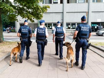 Politiezone Evere-Schaarbeek-Sint-Joost-ten-Node: hondenbrigade