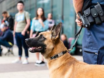 Politiezone Evere-Schaarbeek-Sint-Joost-ten-Node: hondenbrigade