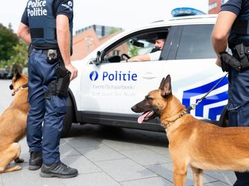 Politiezone Evere-Schaarbeek-Sint-Joost-ten-Node: hondenbrigade