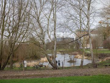 Natuurgebied Vogelenzang Anderlecht