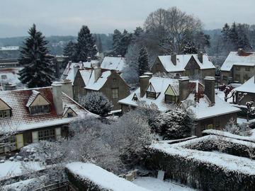 20180123 tuinwijk Florial