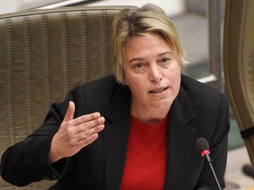 Joke Schauvliege (CD&V), Vlaams minister van Omgeving, Natuur en Landbouw, in het Vlaams Parlement