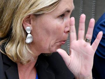 Liesbeth Homans (N-VA), Viceminister-president in de Vlaamse Regering