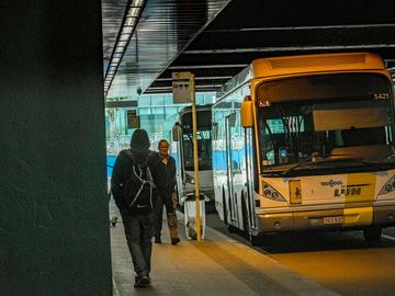 De Vlaamse openbaar vervoermaatschappij De Lijn neemt geen passagiers meer mee aan de halte onder het Noordstation wegens onveilig en vuil