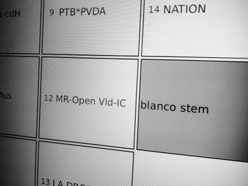 Elektronisch stemmen blanco stem