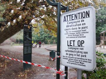 In het Josaphatpark in Schaarbeek loopt een campagne rattenbestrijding