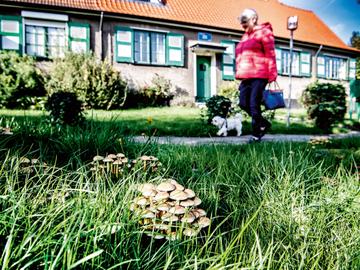 Le Logis Floréal, tuinwijk in Watermaal-Bosvoorde