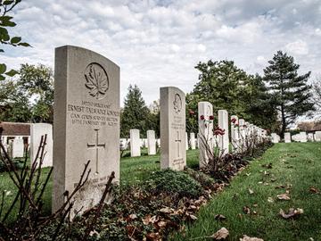 Brussels Cemetery in Evere: hier liggen Canadese oorlogsslachtoffers van 1914-1918 begraven