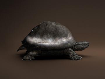 1684  Vincent Fournier, Black Celestial Tortoise [Manouria Praecognito],(Post Natural History series), 2018