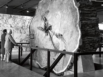 Expo 58: Congo