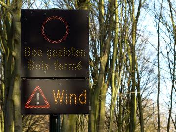 Schade na de doortocht van storm Ciara op zondag 9 februari 2020 in het Ter Kamerenbos