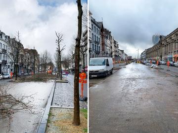 11 maart 2020: de bomen aan de Stalingrad werden gekapt