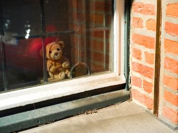 #blijfinuwkot. Een knuffelbeer aan een Brussels raam