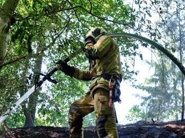 De Brusselse brandweer blust in het Zoniënwoud