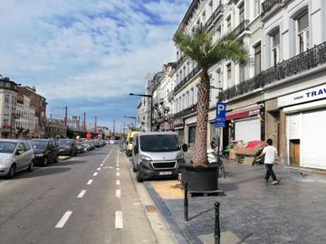 Zomer in Brussel: palmbomen langs de Stalingradlaan als tijdelijke vervanging van de bomen die gekapt werden voor de aanleg van het nieuwe metrostation Toots Thielemans
