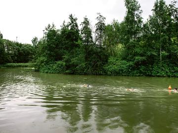 Zwemmen in de Mayfairvijver in Anderlecht