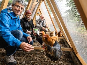 Een kippenren in het Viaductpark in Elsene , met initiatiefnemers Willy Van Hoef (achteraan), Christine Flasschoen en Michaël Delhaye
