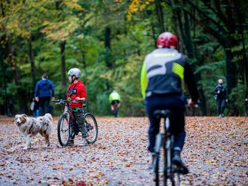 Wandelen en fietsen in Ter Kamerenbos