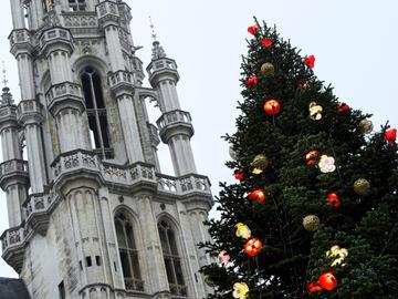 30 november 2020: ondanks de lockdown staat de traditionele kerstboom weer op de Grote Markt