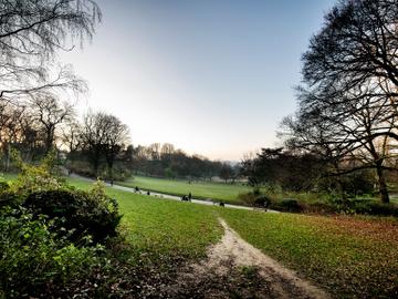 20220307 curieuzenair Het park van Vorst