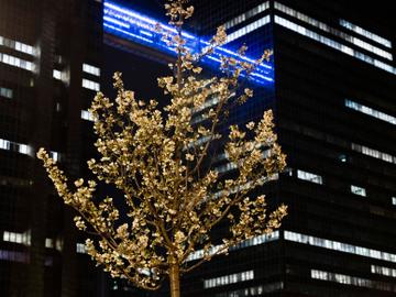 Lichtvervuiling: kantoorgebouwen in de Noordwijk