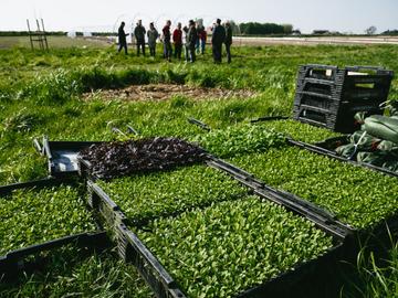 Zelfpluktuin Perkuus in Sint-Pieters-Leeuw, nabij de Vogelzangbeekvallei in Anderlecht