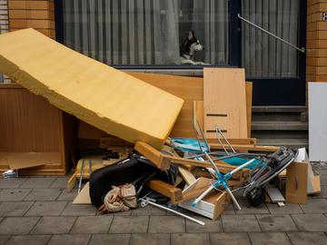 1829 ARCHIEF Sluikstort hond achter raam 1