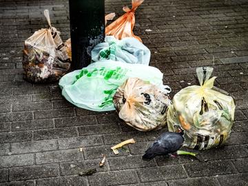 Net Brussel Oranje zak voedingsafval Net Brussel huisvuilophaling sorteren huisvuil groenafval tuinafval 3