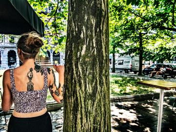 Het Vrijheidsplein: de huidige bomen uit 1978 belemmeren volgens de Commissie Monumenten en Landschappen het zicht