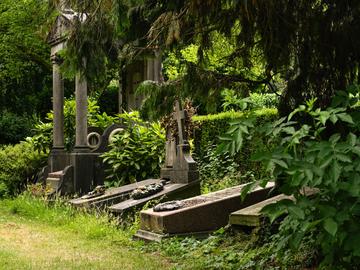 1854 Biodiversiteit Kerkhof Evere 5