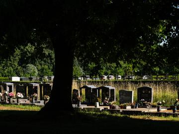 1854 Biodiversiteit Kerkhof Vogelenzang 30