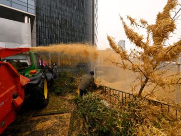 20240226 Boerenprotest Europese wijk overal stro 3