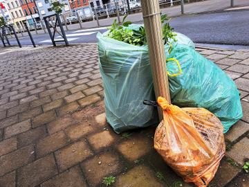 De groene zak met tuinafval en de oranje zak met voedingsafval: klaar voor ophaling door Net Brussel