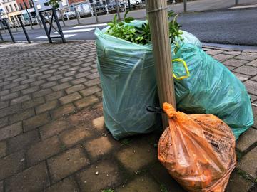 De groene zak met tuinafval en de oranje zak met voedingsafval: klaar voor ophaling door Net Brussel