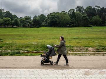 De restauratie van het park van Vorst 17