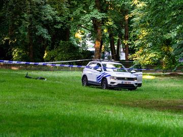 BRZ 20250511 1939 Opinie Fabian