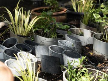 BRZ 20250625 1941 KLEIN ONDERHOUD