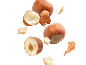 BRZ 20250910 1947 Botanisch Brussel Hazelaar 2